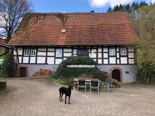 Ferienwohnungen Hanst — hotel in Michelstadt
