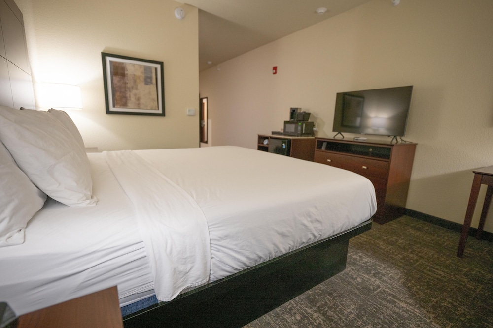 Cobblestone Hotel & Suites Lamar - photo 6