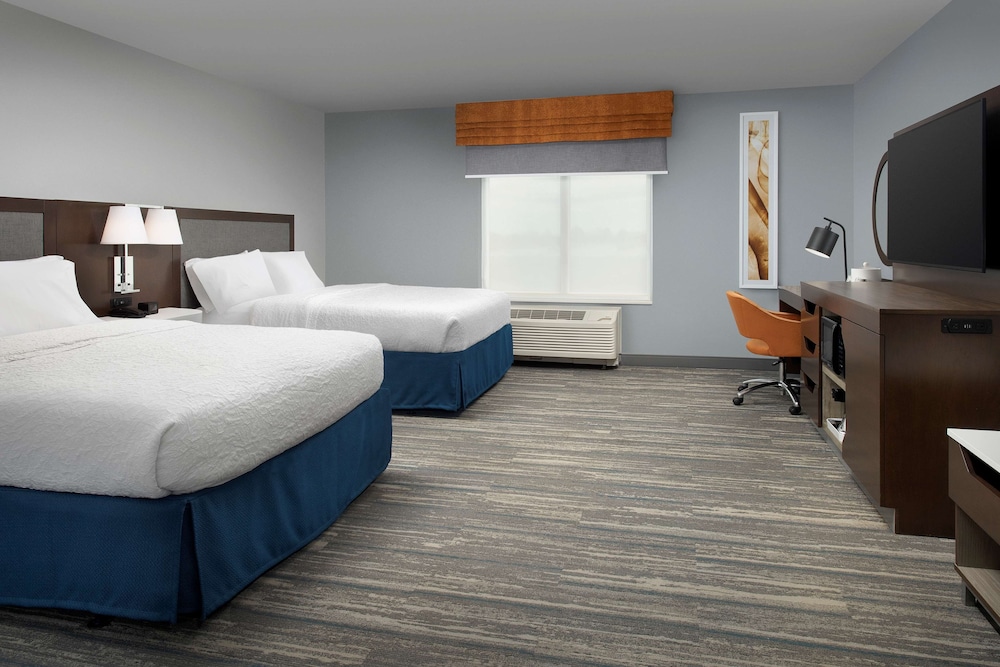 Hampton Inn & Suites Rapid City Rushmore - photo 23