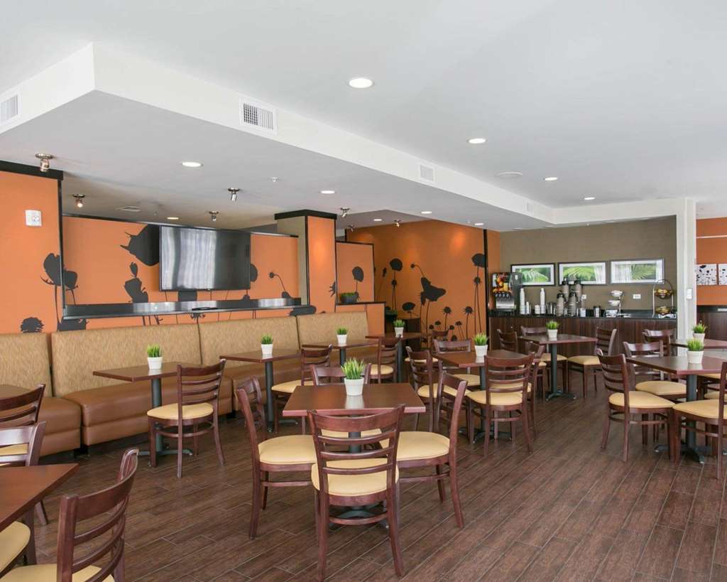 Sleep Inn & Suites Austin Northeast - photo 26