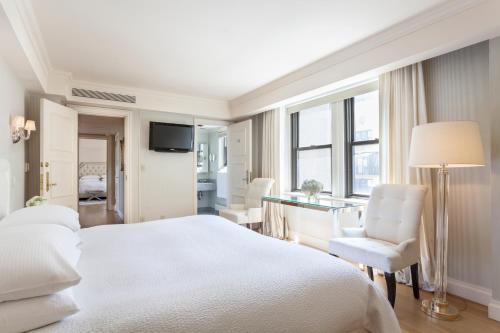 Central Park South Deluxe Studio - photo 5