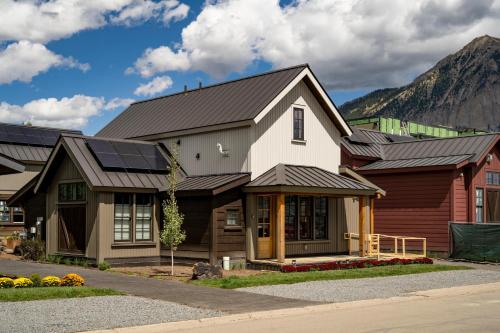 Academy Place Paintbrush — Crested Butte