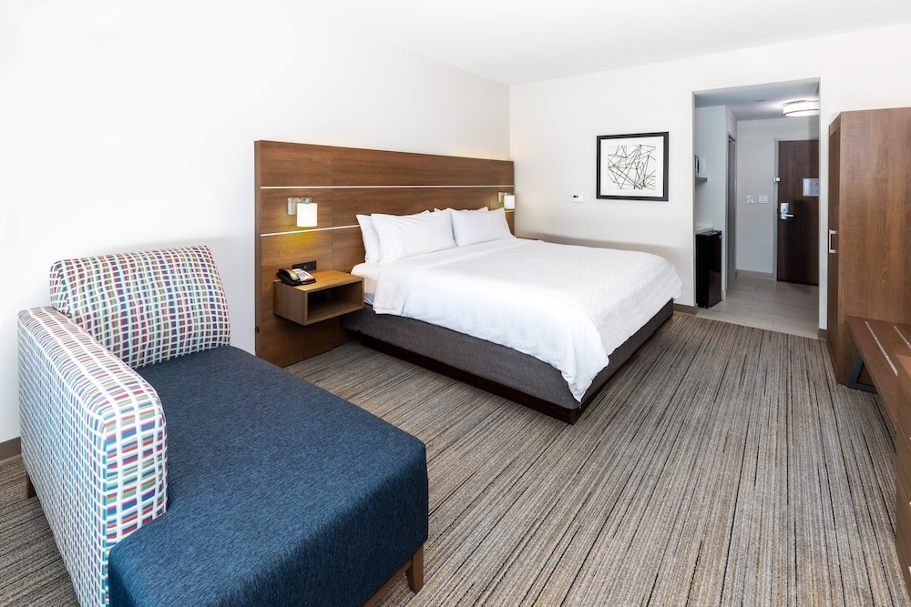 Holiday Inn Express & Suites Stafford NW Sugar Land by IHG - photo 18