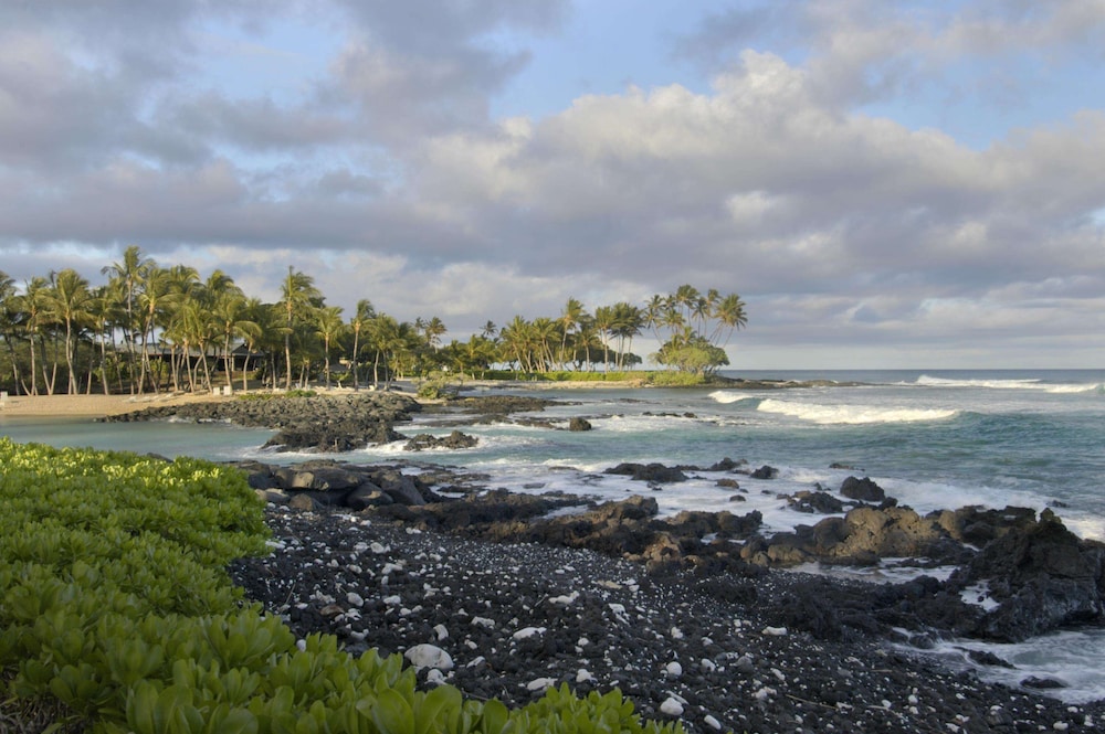 Fairmont Orchid - photo 130