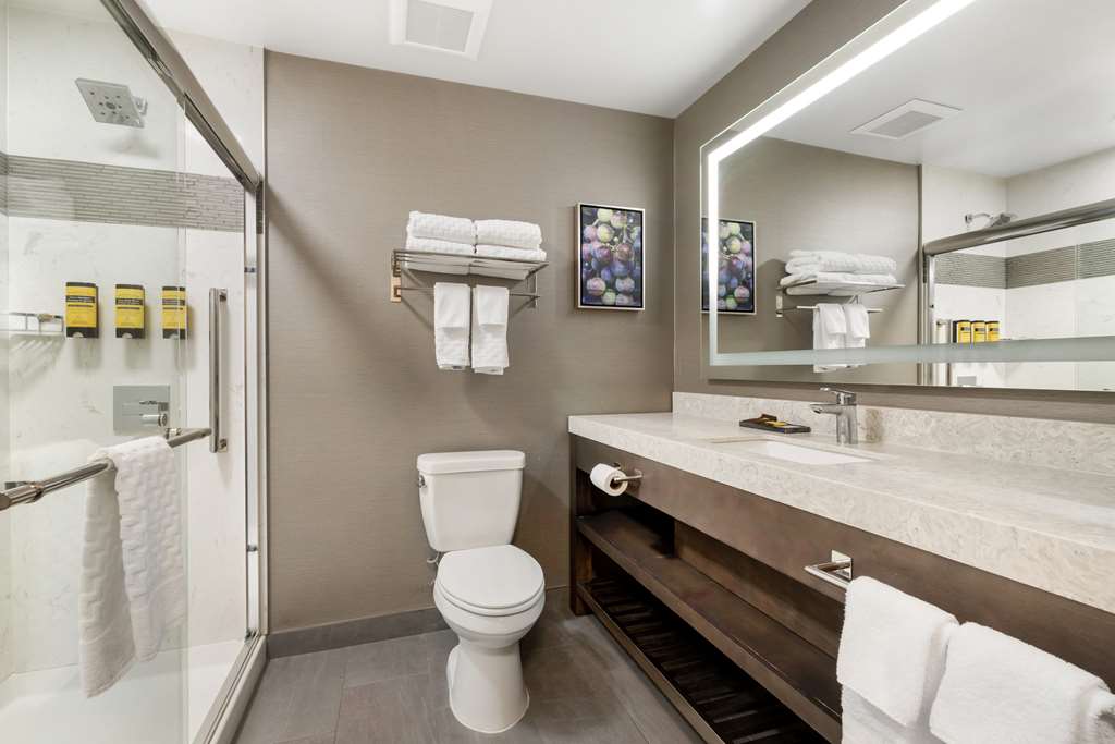 Best Western Plus Temecula Wine Country Hotel &Suites - photo 34