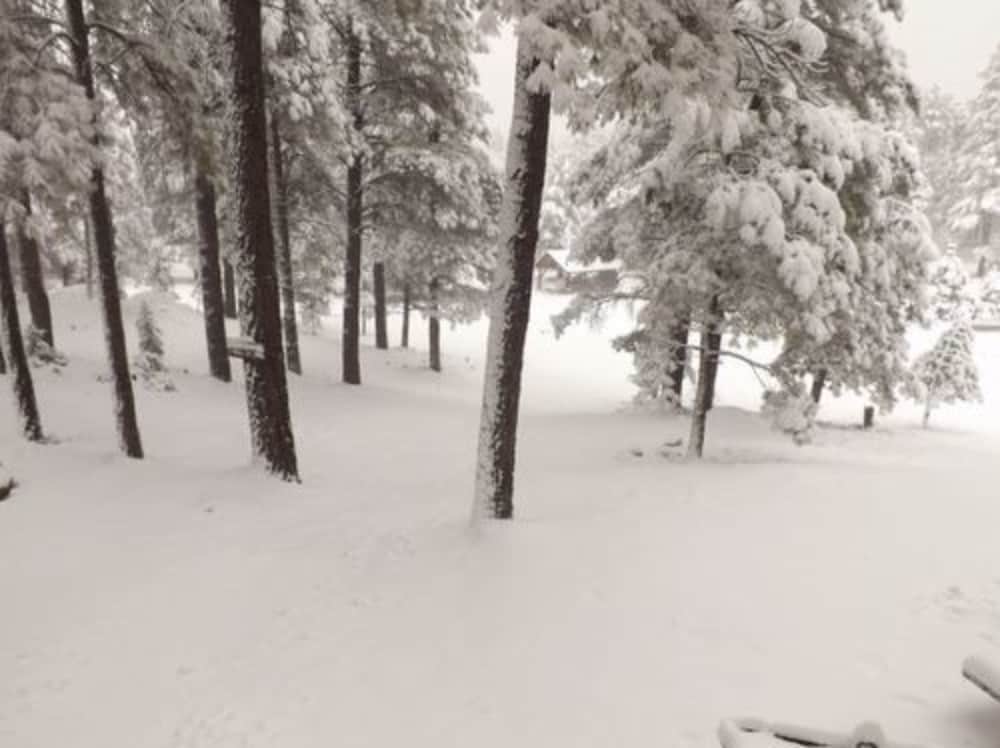 Arizona Mountain Inn and Cabins - photo 100
