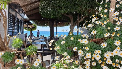 La Hoya - last minute hotel in Unknown City