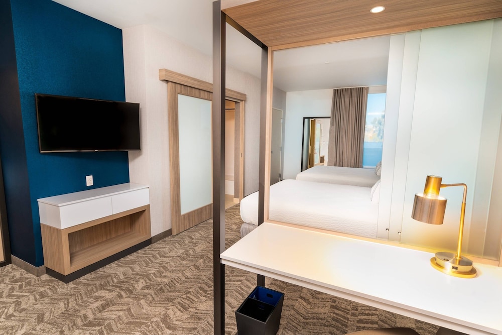 SpringHill Suites by Marriott Newark Fremont - photo 9