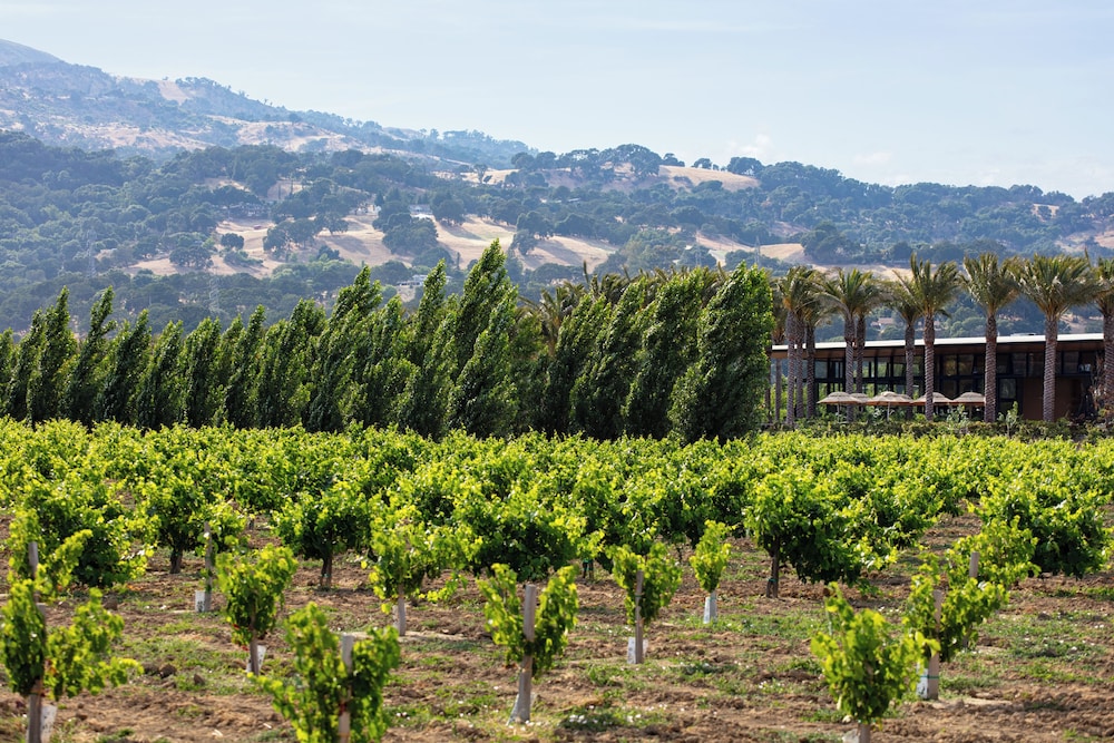 Homewood Suites by Hilton Fairfield Napa Valley Area - photo 25