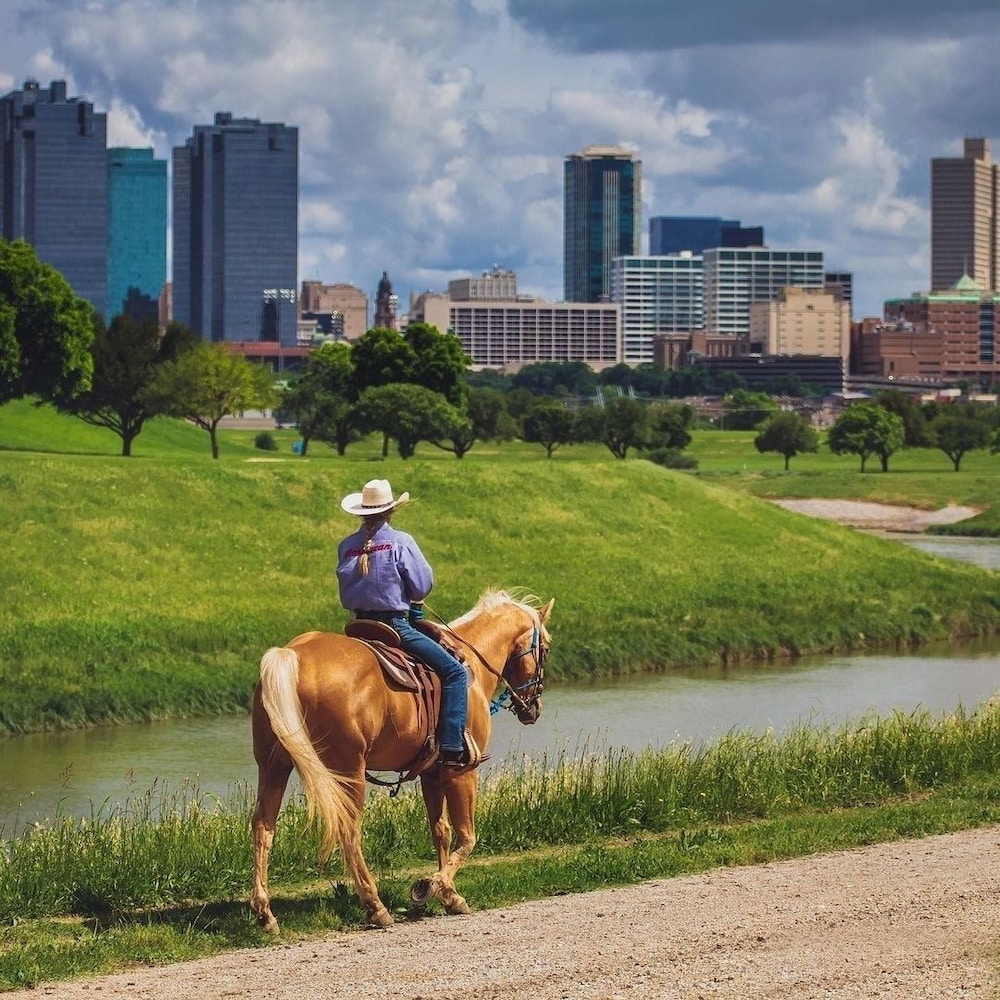 Holiday Inn Express & Suites Fort Worth Fossil Creek by IHG - photo 32
