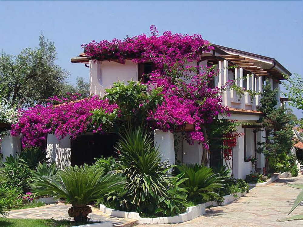 Villaggio La Pizzuta — 4-Star Luxury Hotel in Parghelia, Italy