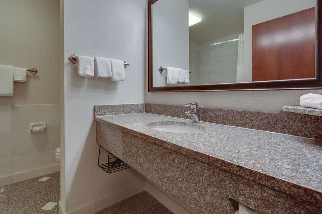 Drury Inn & Suites St. Louis Forest Park - photo 20