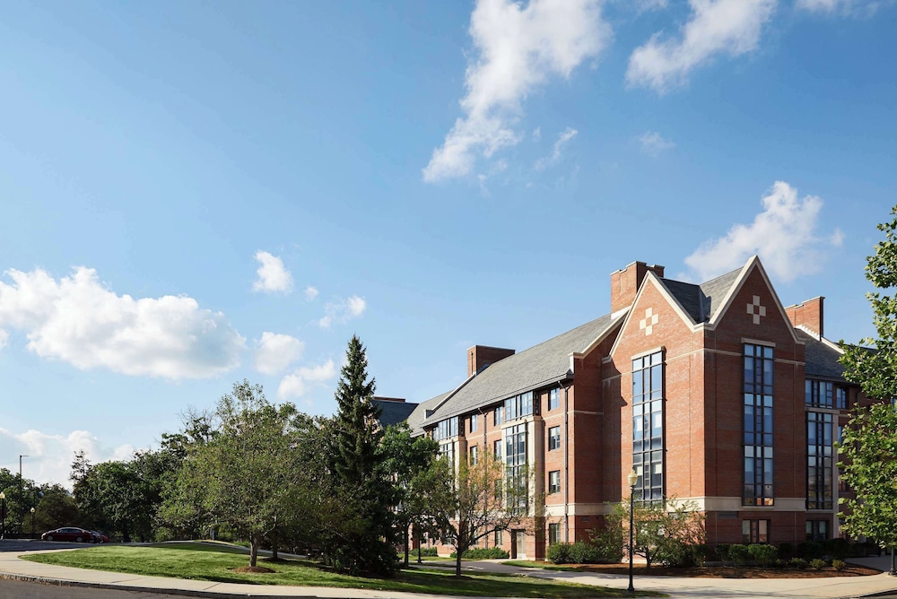 Graduate by Hilton Storrs - photo 54