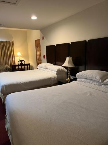 Sutton Inn - photo 11