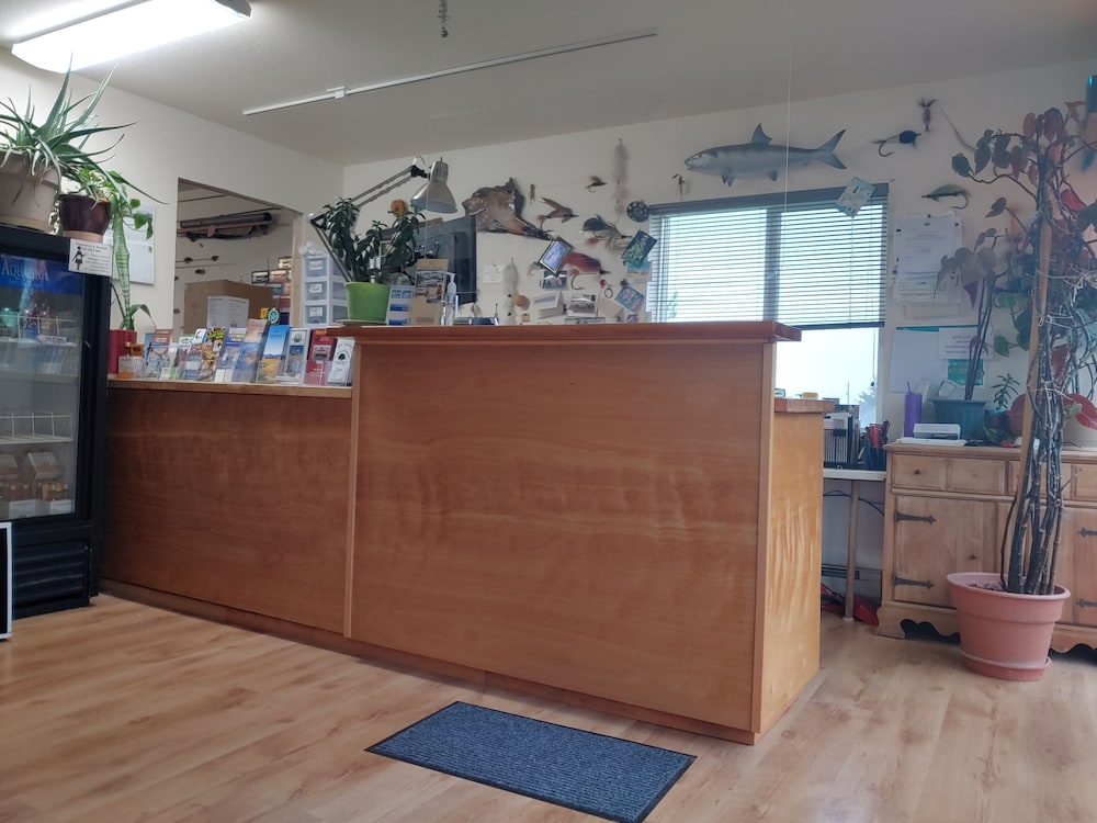 The Dublin House Motel - photo 2