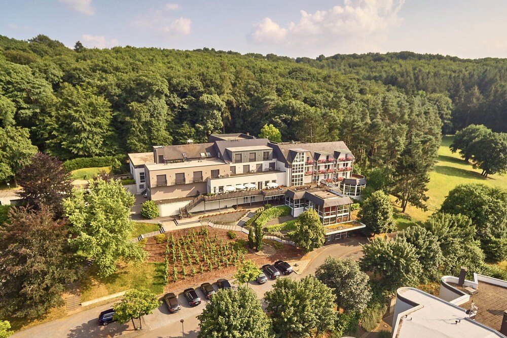 Hotel Vulcano Lindenhof — hotel in Wittlich