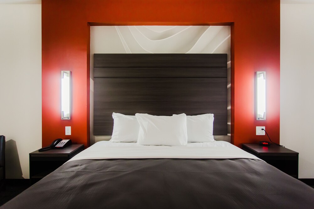 Palacio Royale Inn Boutique Katy - photo 20