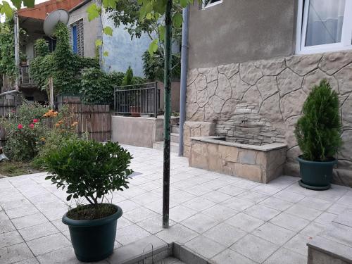 Hotel Liva