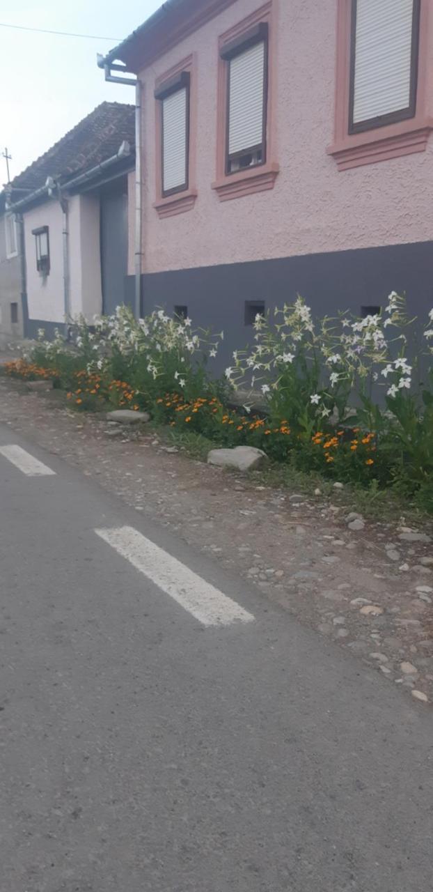 Casa Maior — Sacel — photo 5