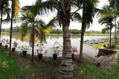 Joan’s Homestay — Vaikam — photo 3