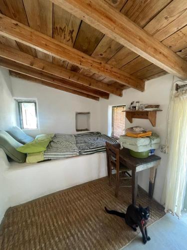 Circadia - carbon neutral hotel in Unknown City