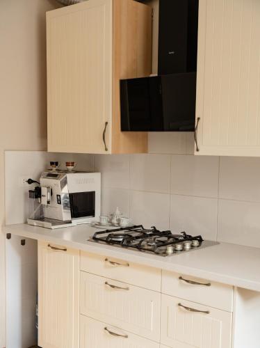 Apartament Zielony Motyl — Skierniewice — photo 4
