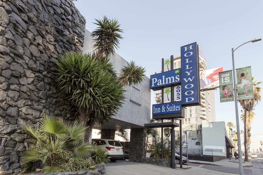 Hollywood Palms Inn and Suites - photo 79