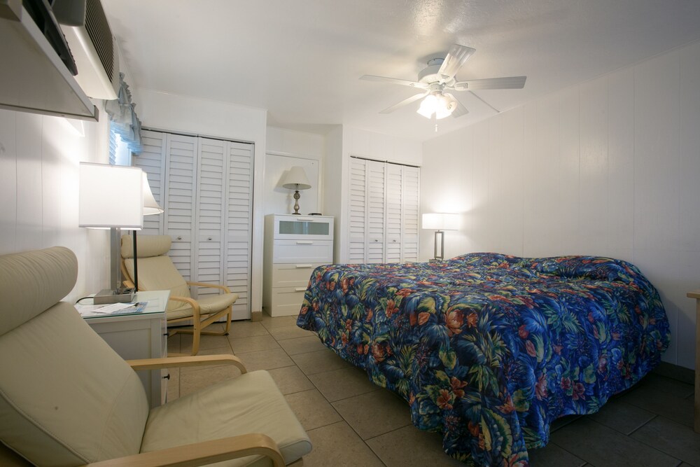 Dolphin Inn Resort - photo 28