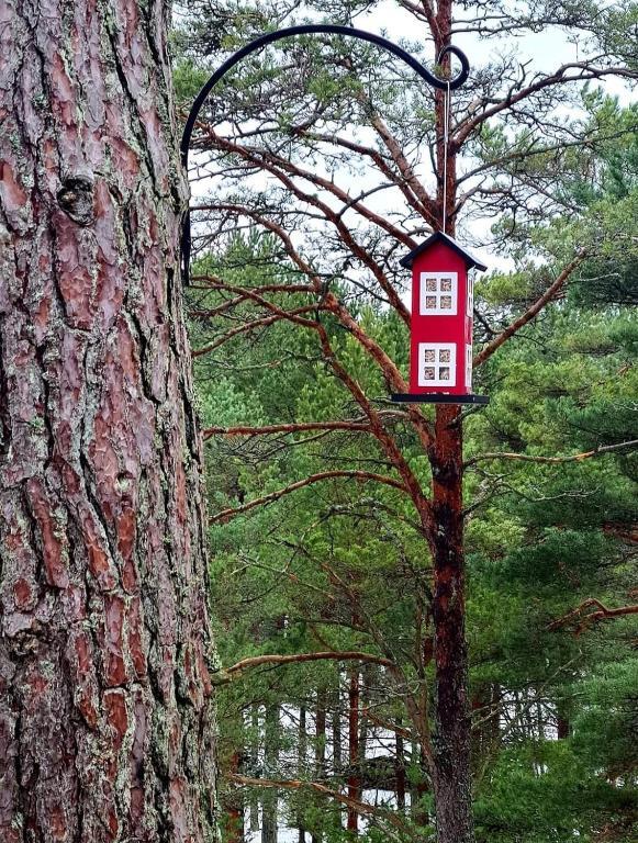 Dream Corner Nordic in Unknown City, Estonia