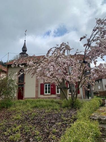 Bastide du Soldat — Monswiller — photo 4