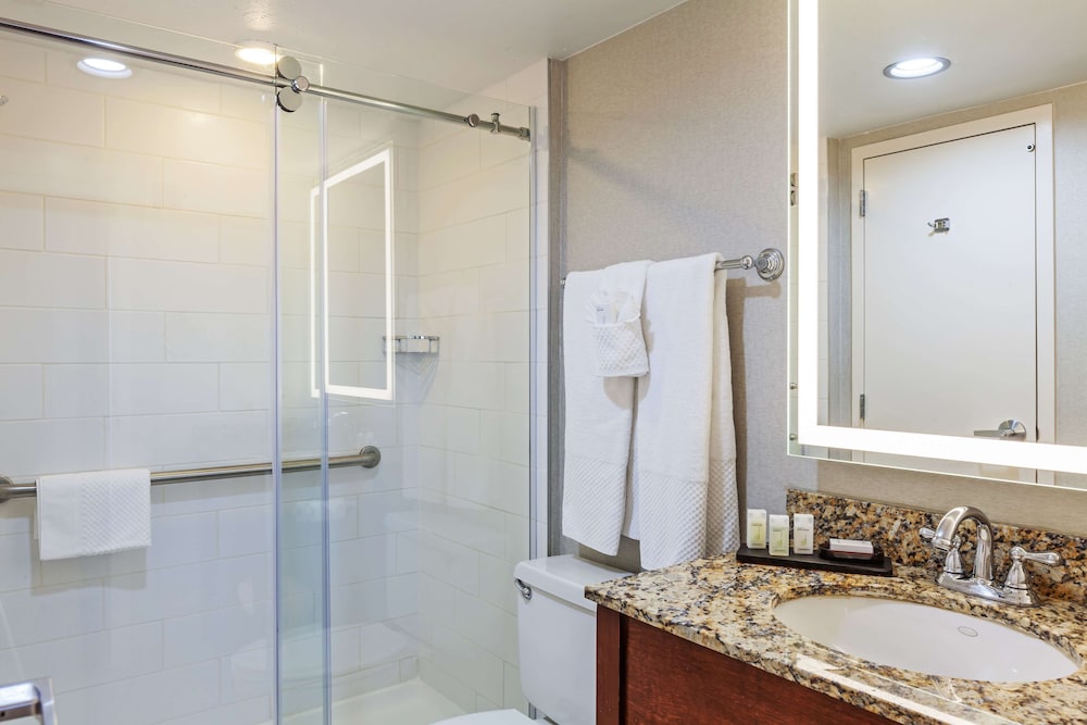 Embassy Suites by Hilton Dallas Market Center - photo 30