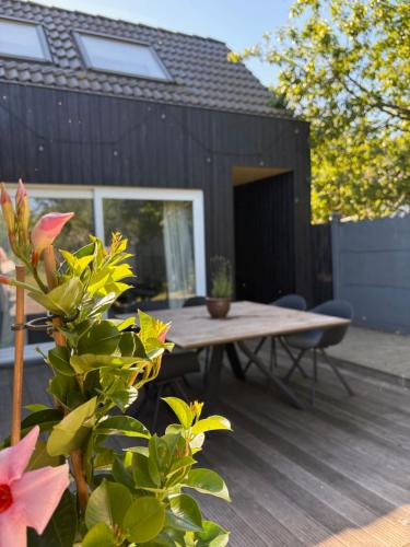 Vakantiehuis Coconne — Waregem