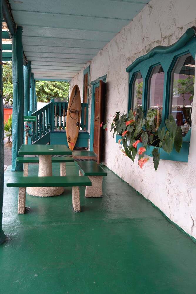 Wild Ginger Inn Hotel - photo 35