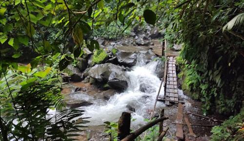 Cascada el tucan — Catemaco — photo 5
