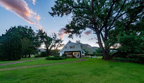 Woodcliffe Country House — Maclear — photo 4