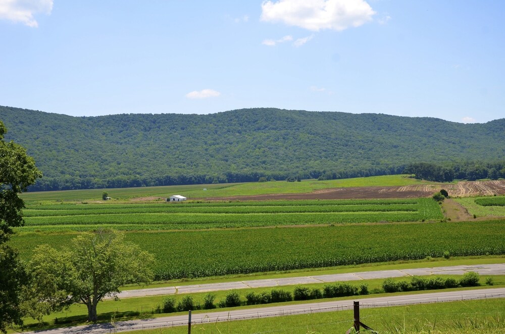 Mountain Cove Farms Resort - photo 25