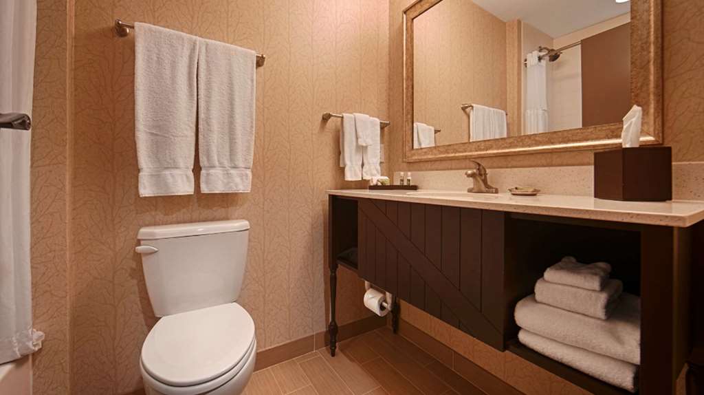 Best Western Plus Dayton Hotel & Suites - photo 22