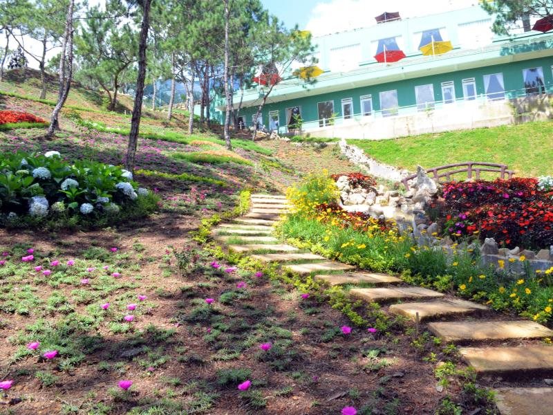 Rừng Hoa Đà Lạt - last minute hotel in Da Lat