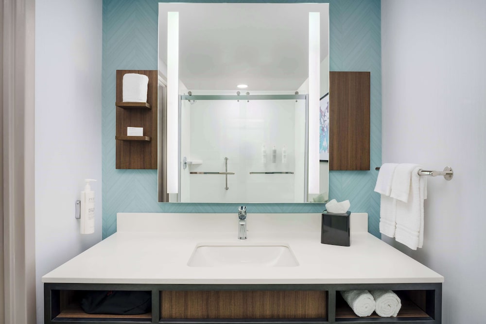 Hilton Garden Inn Lake Mary - photo 13