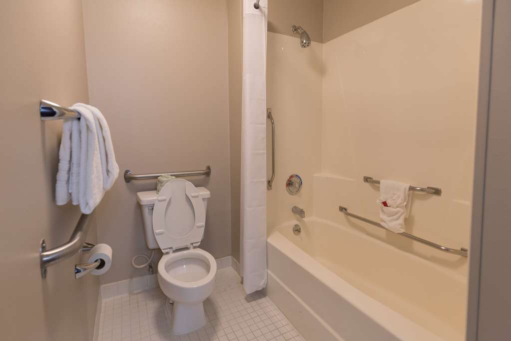 Baymont by Wyndham Detroit Airport Romulus - photo 8