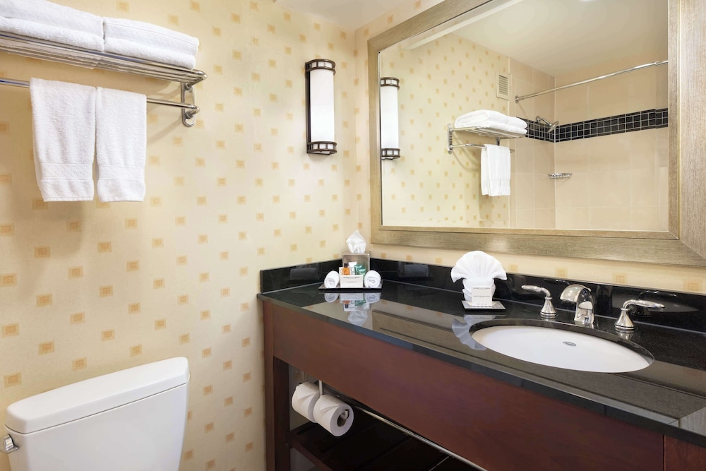 Hilton Chicago O'Hare Airport - photo 35
