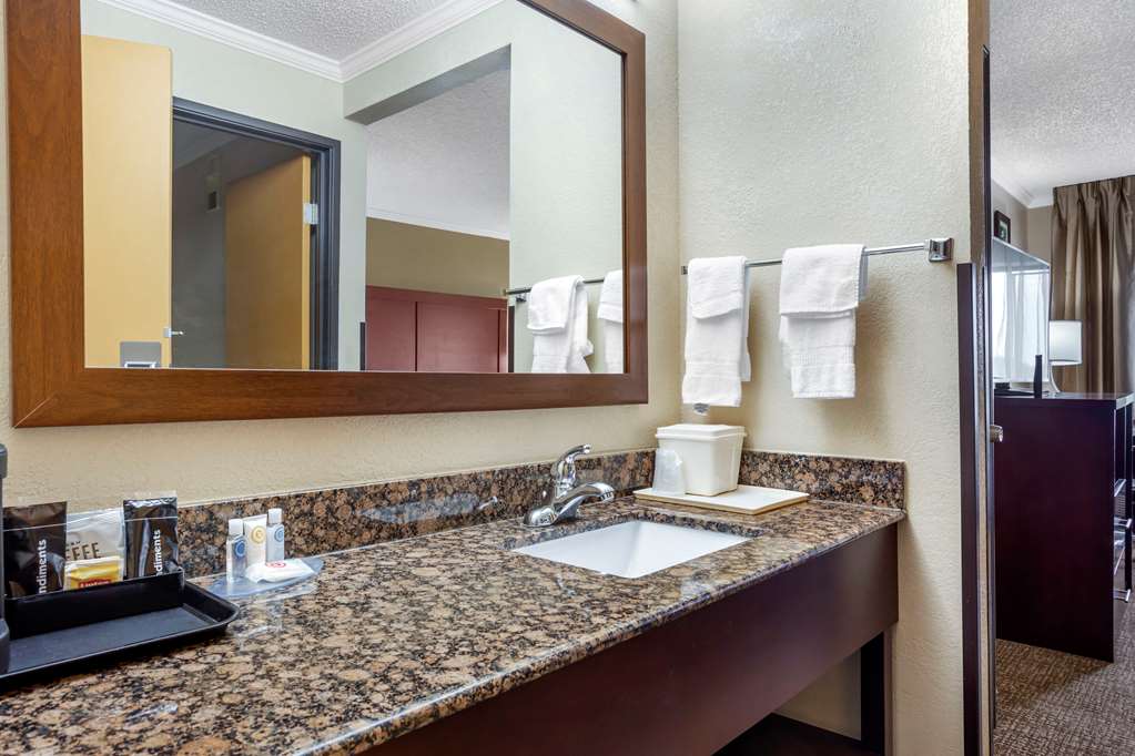 Comfort Inn Hoffman Estates Schaumburg - photo 13