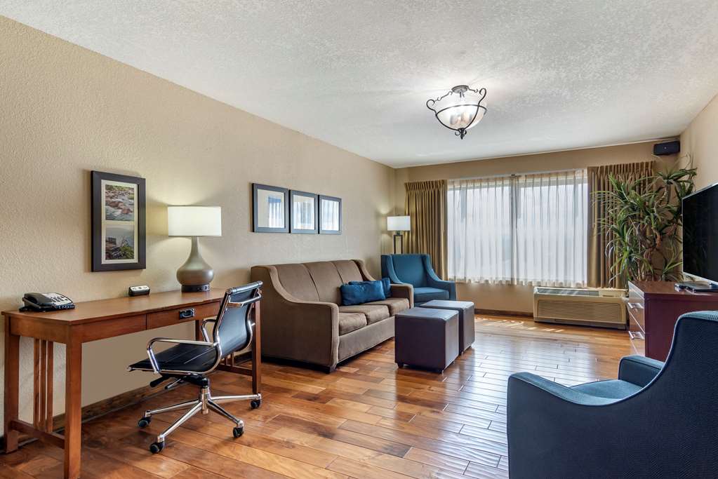 Comfort Inn & Suites Blue Ridge - photo 28