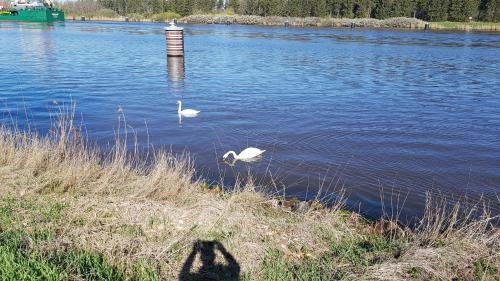 Ferienwohnung am Nord Ostsee Kanal — Breiholz — photo 2