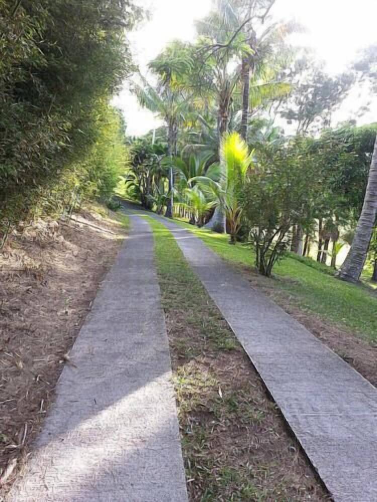 Hale Kukui Orchard & Cottages - photo 45