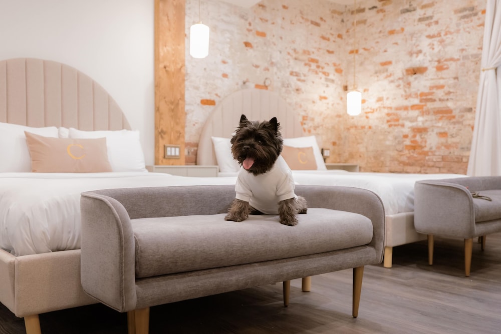 The Chandler Hotel - photo 8