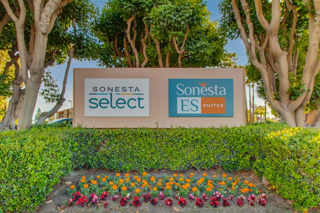 Sonesta ES Suites Huntington Beach Fountain Valley - photo 3
