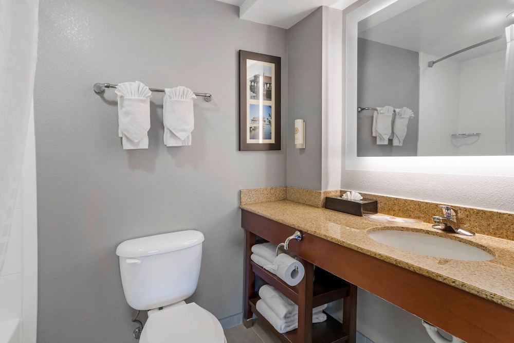 Comfort Suites near Birkdale Village Huntersville - photo 22