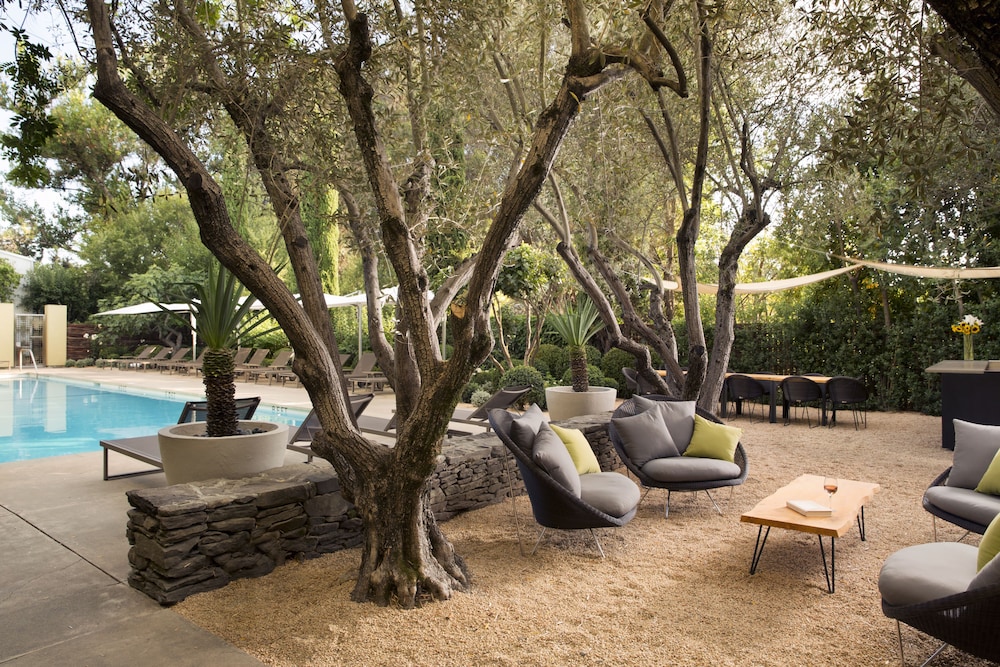 Hotel Healdsburg - photo 43