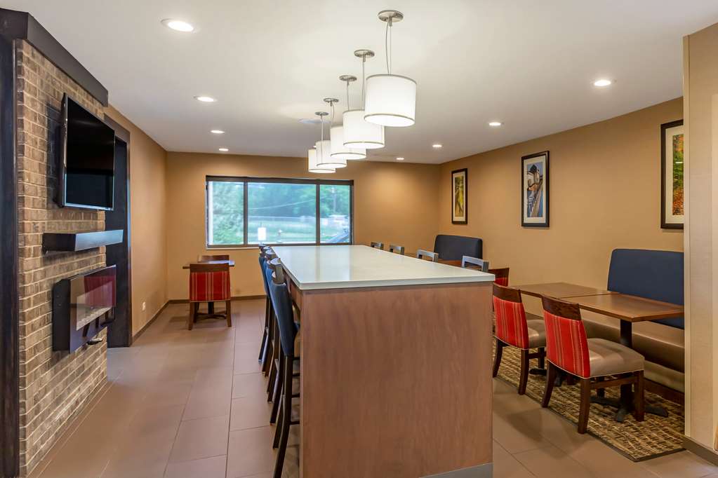 Comfort Suites Oakbrook Terrace near Oakbrook Center - photo 28